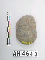 藏品(中型片狀砝碼型石網墜)的圖片